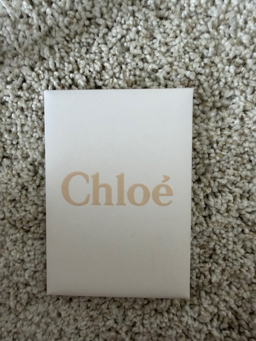 Chloé Taupe Leather & Suede backpack with Gold Hardware - Picture 9 of 10
